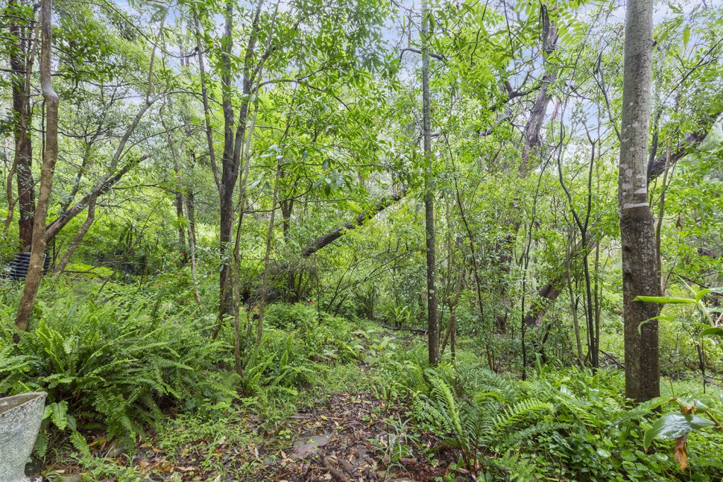 23 The Avenue, Warrimoo NSW 2774 — photo 8