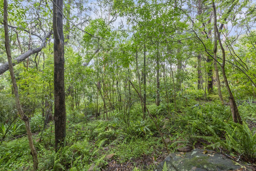 23 The Avenue, Warrimoo NSW 2774 — photo 10