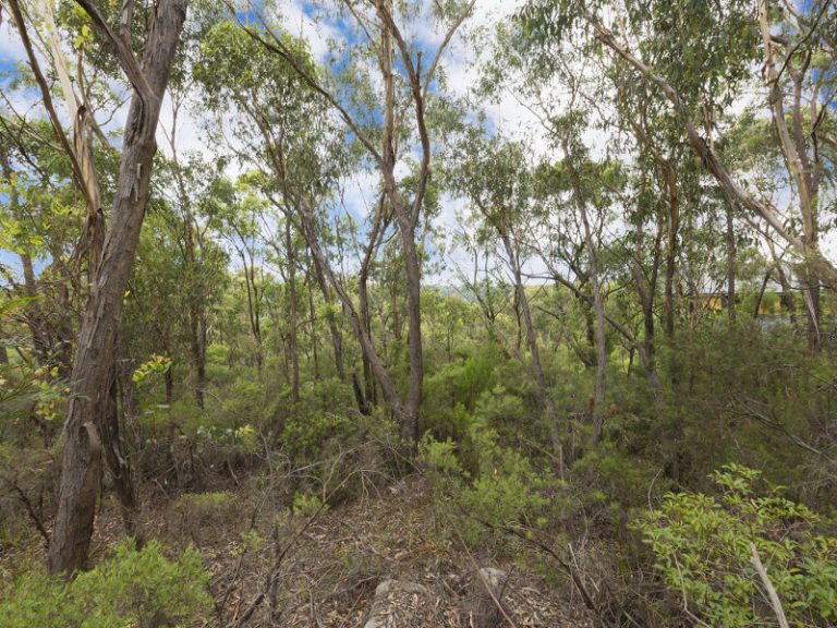 22 Taronga Way, Faulconbridge NSW 2776 — photo 3