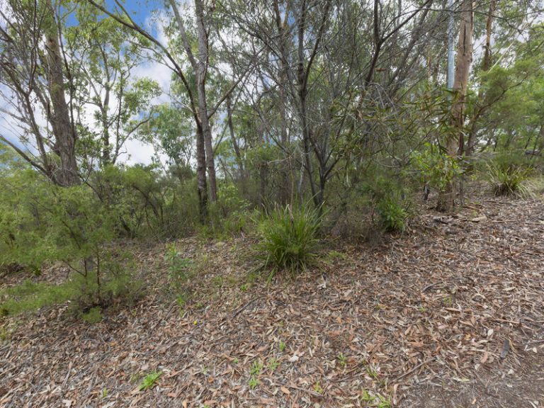 22 Taronga Way, Faulconbridge NSW 2776 — photo 5