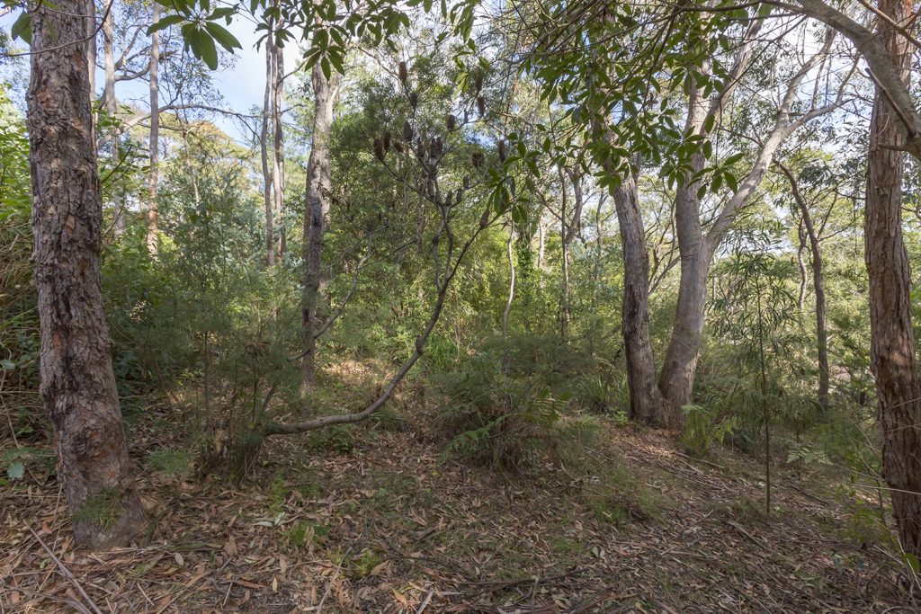 44 Plateau Road, Springwood NSW 2777 — photo 6