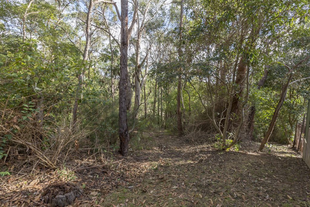 44 Plateau Road, Springwood NSW 2777 — photo 7