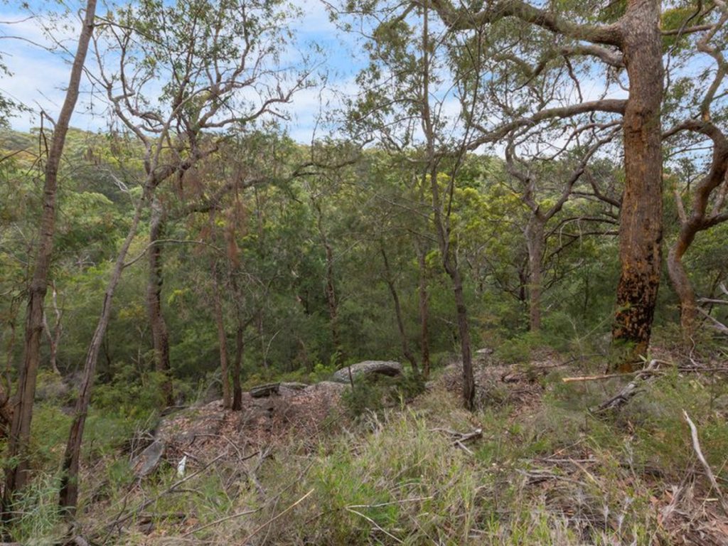 35 Roberts Parade, Hawkesbury Heights NSW 2777 — photo 5