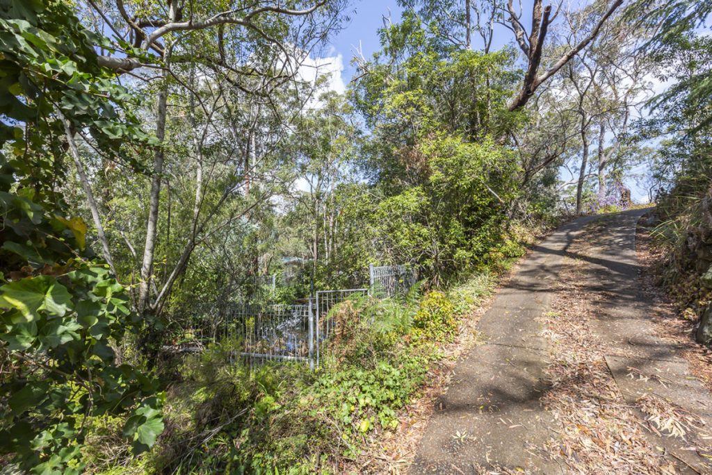 44 Davies Avenue, Springwood NSW 2777 — photo 3