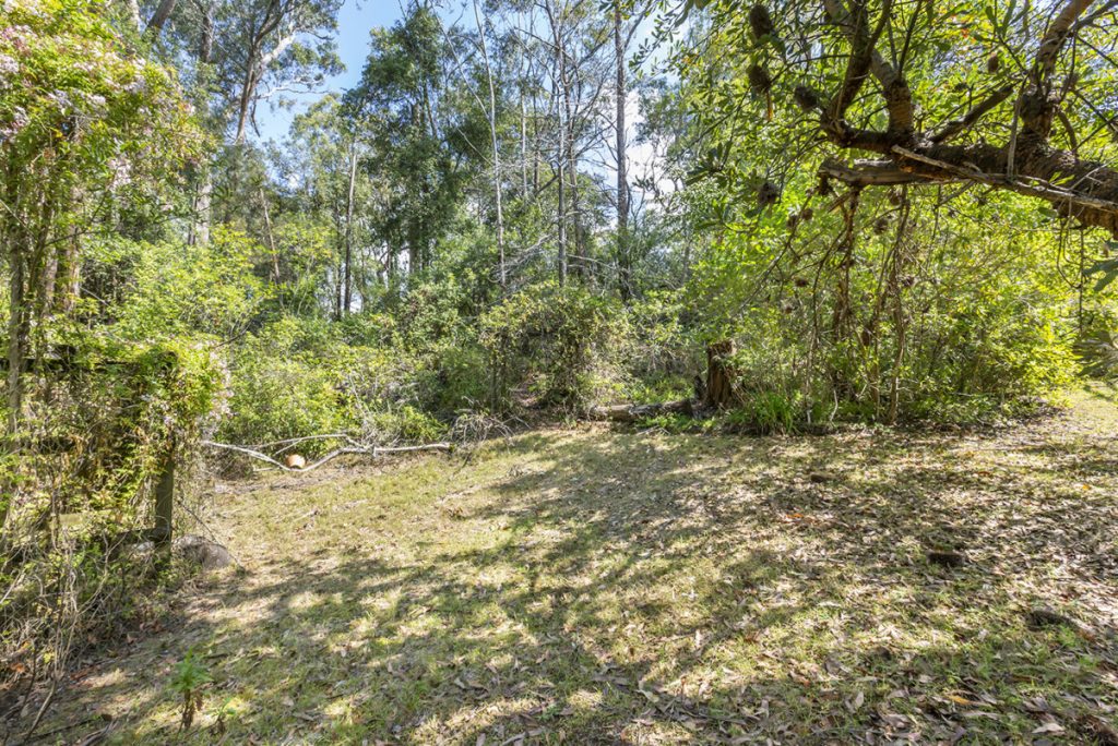 44 Davies Avenue, Springwood NSW 2777 — photo 4