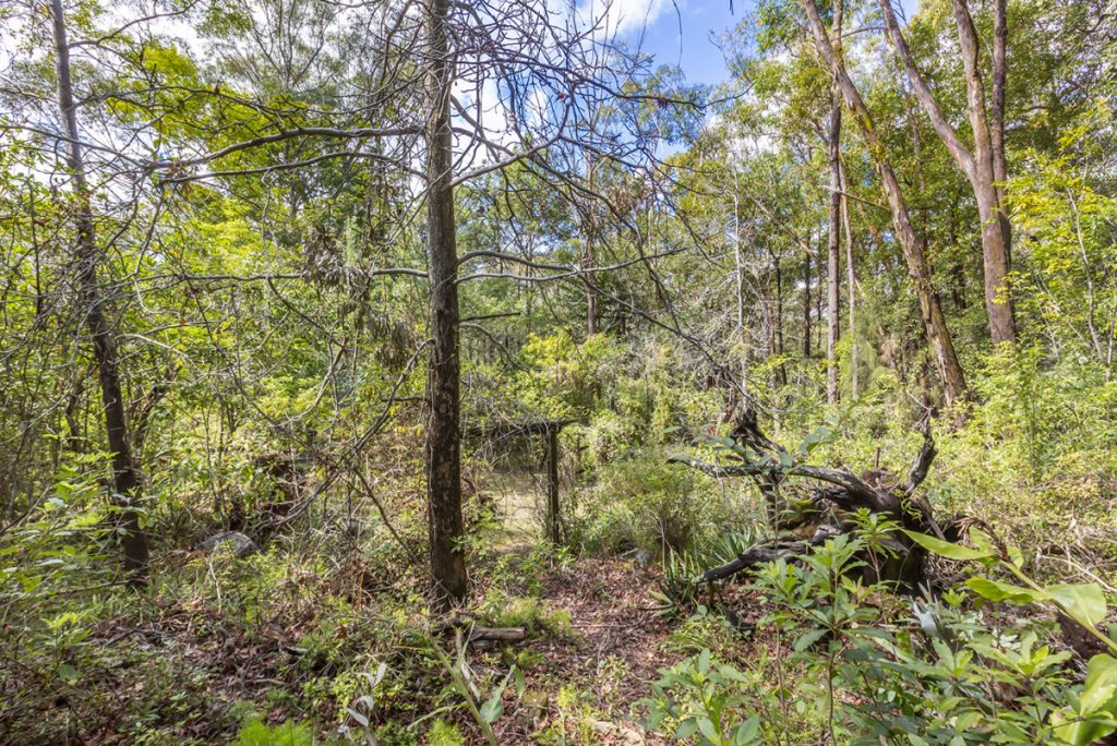 44 Davies Avenue, Springwood NSW 2777 — photo 5