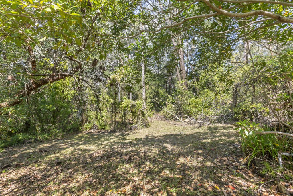 44 Davies Avenue, Springwood NSW 2777 — photo 6