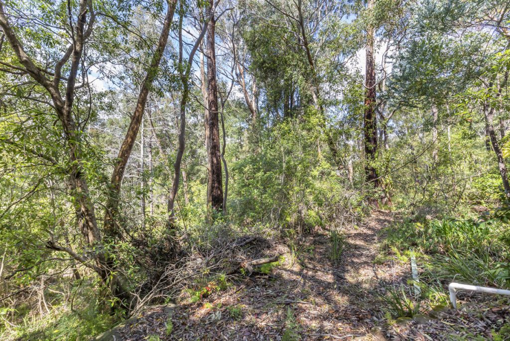 44 Davies Avenue, Springwood NSW 2777 — photo 7
