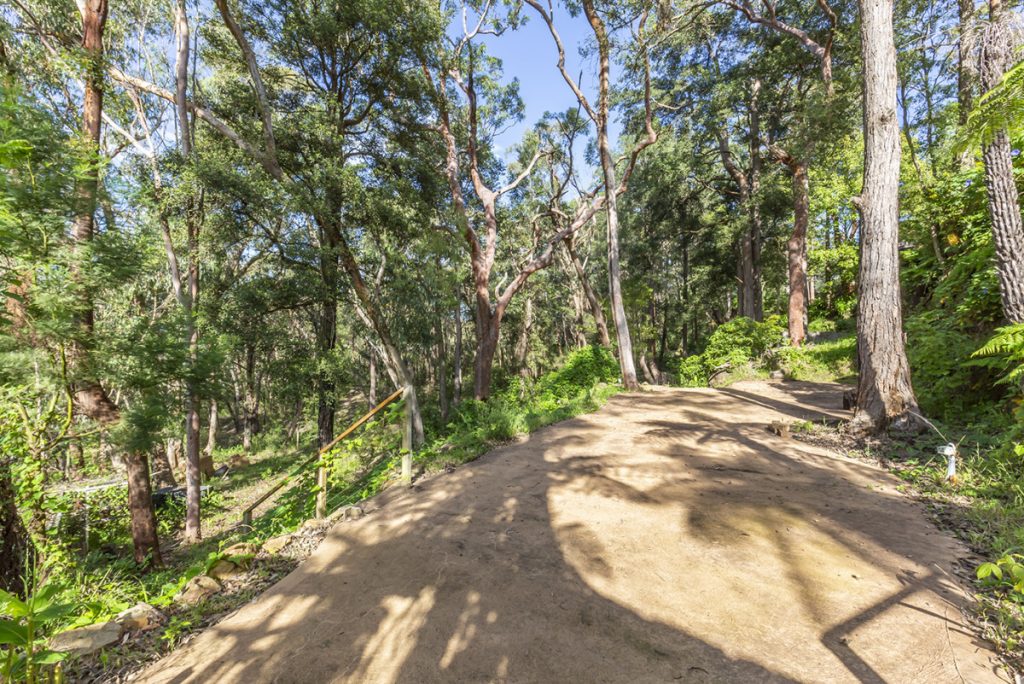 19 Martin Place, Faulconbridge NSW 2776 — photo 11