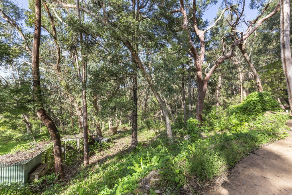 19 Martin Place, Faulconbridge NSW 2776 — photo 12