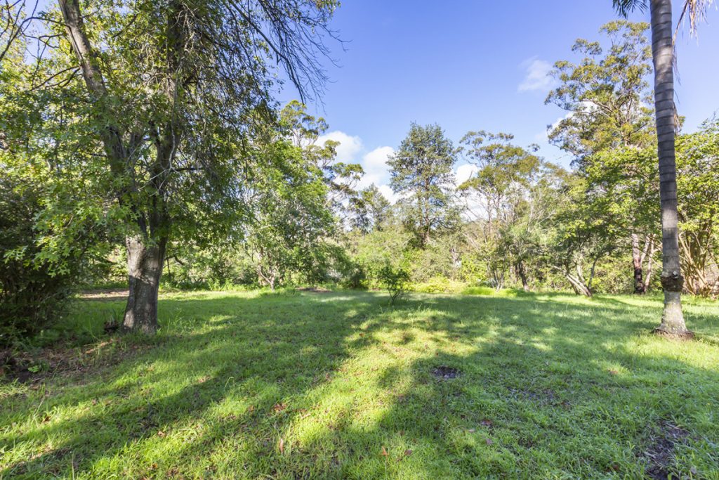 47 Farm Road, Springwood NSW 2777 — photo 9