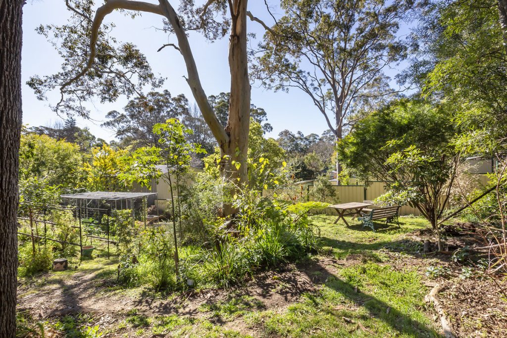 34 George Street, Springwood NSW 2777 — photo 15