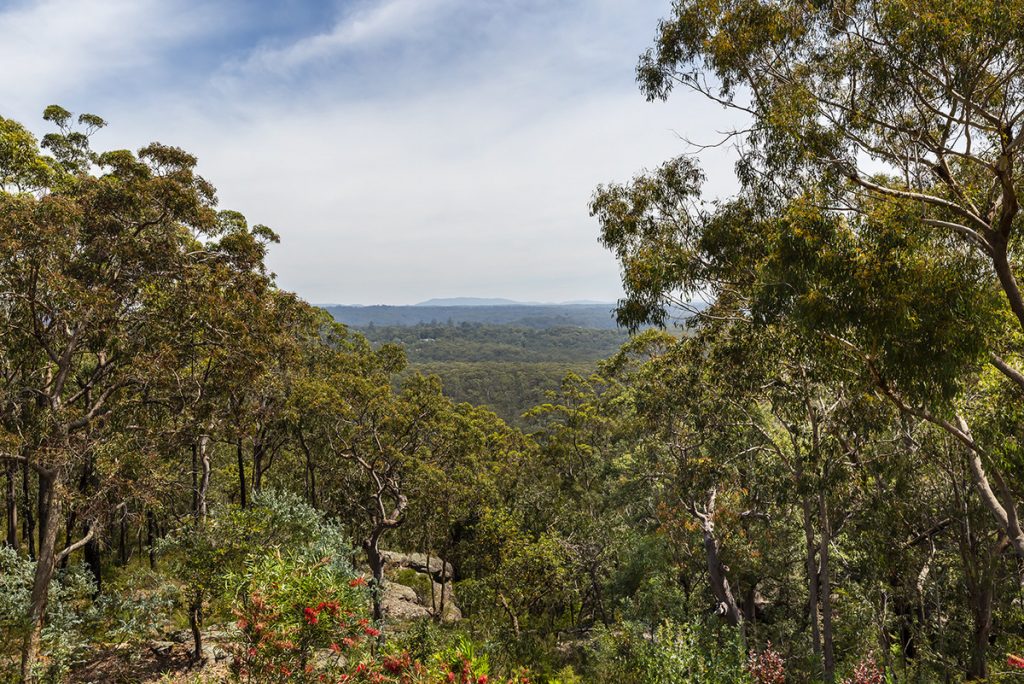 2 Calver Avenue, Mount Riverview NSW 2774 — photo 21