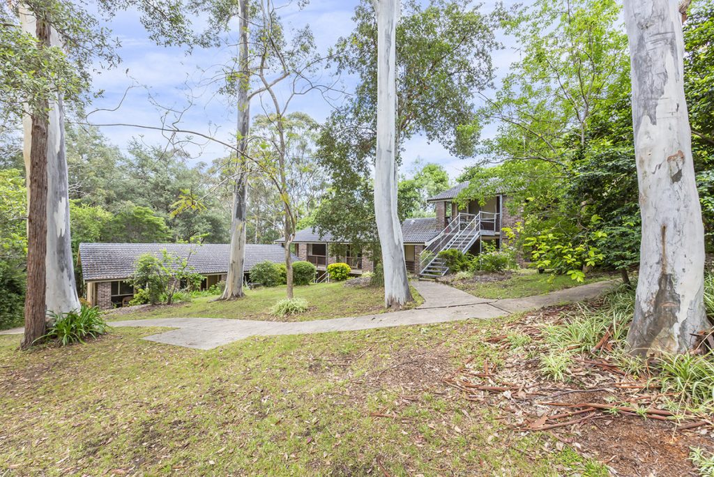 4 David Road, Springwood NSW 2777 — photo 4
