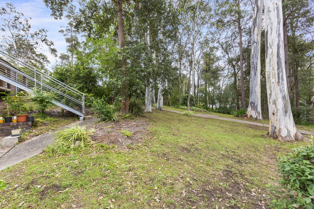 4 David Road, Springwood NSW 2777 — photo 7