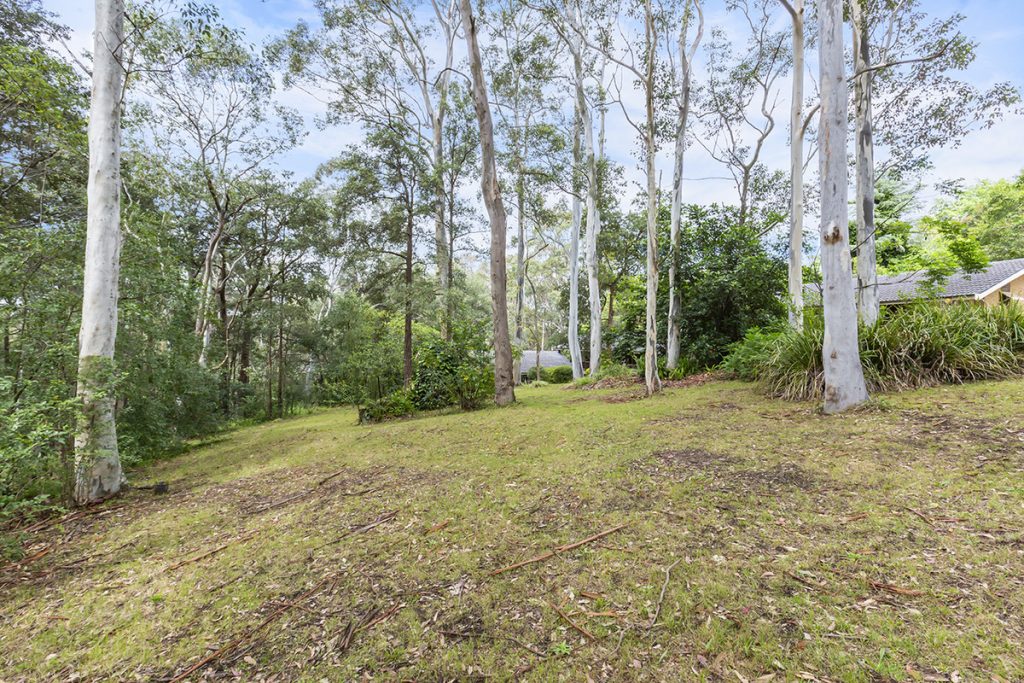 4 David Road, Springwood NSW 2777 — photo 8