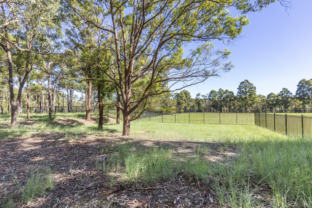 29 Coughlan Road, Blaxland NSW 2774 — photo 11