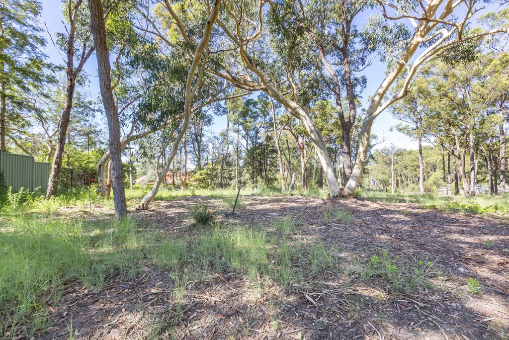 29 Coughlan Road, Blaxland NSW 2774 — photo 12