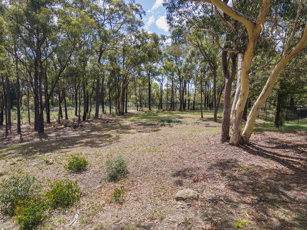 29 Coughlan Road, Blaxland NSW 2774 — photo 8