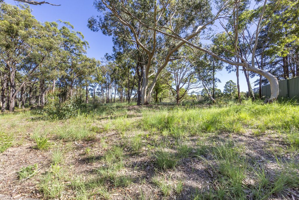 29 Coughlan Road, Blaxland NSW 2774 — photo 9
