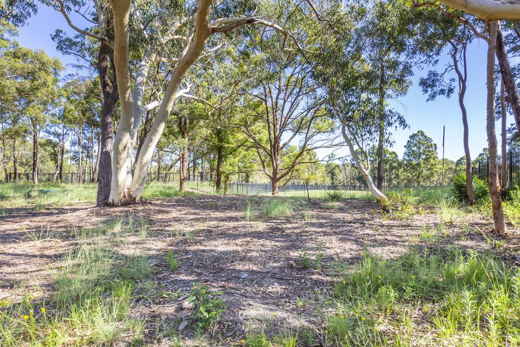 29 Coughlan Road, Blaxland NSW 2774 — photo 10