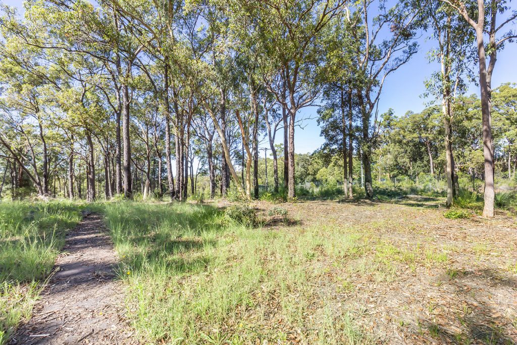 31 Coughlan Road, Blaxland NSW 2774 — photo 11
