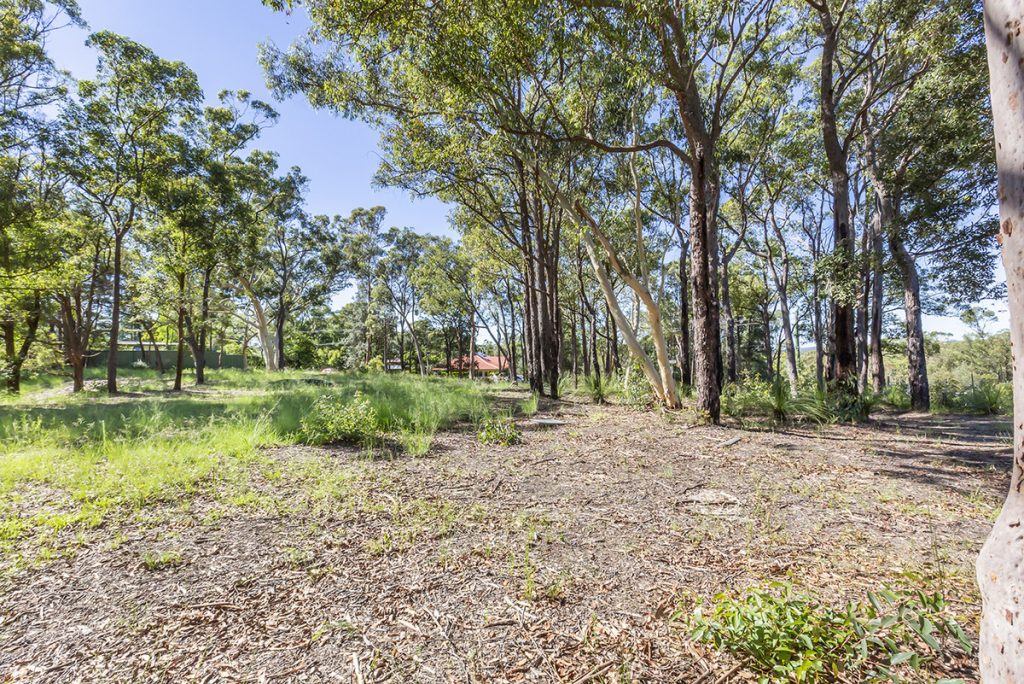 31 Coughlan Road, Blaxland NSW 2774 — photo 12
