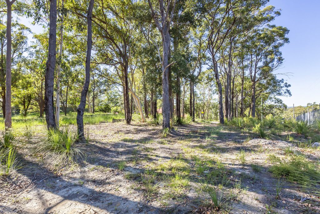 31 Coughlan Road, Blaxland NSW 2774 — photo 13