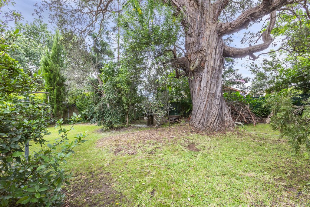 15 Boorea Street, Blaxland NSW 2774 — photo 11