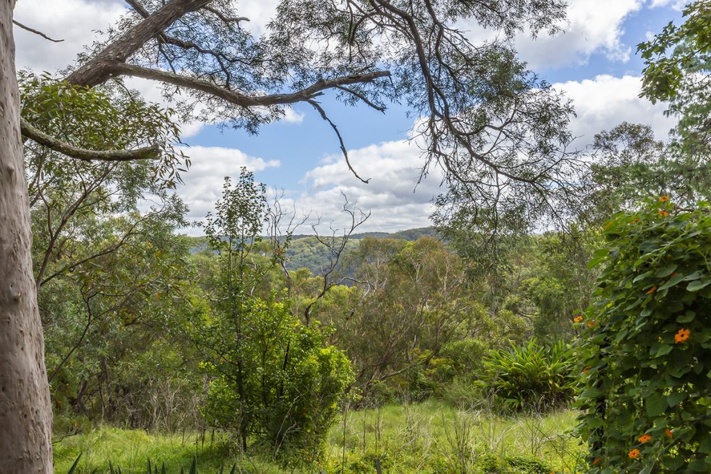 68 Shirlow Avenue, Faulconbridge NSW 2776 — photo 10