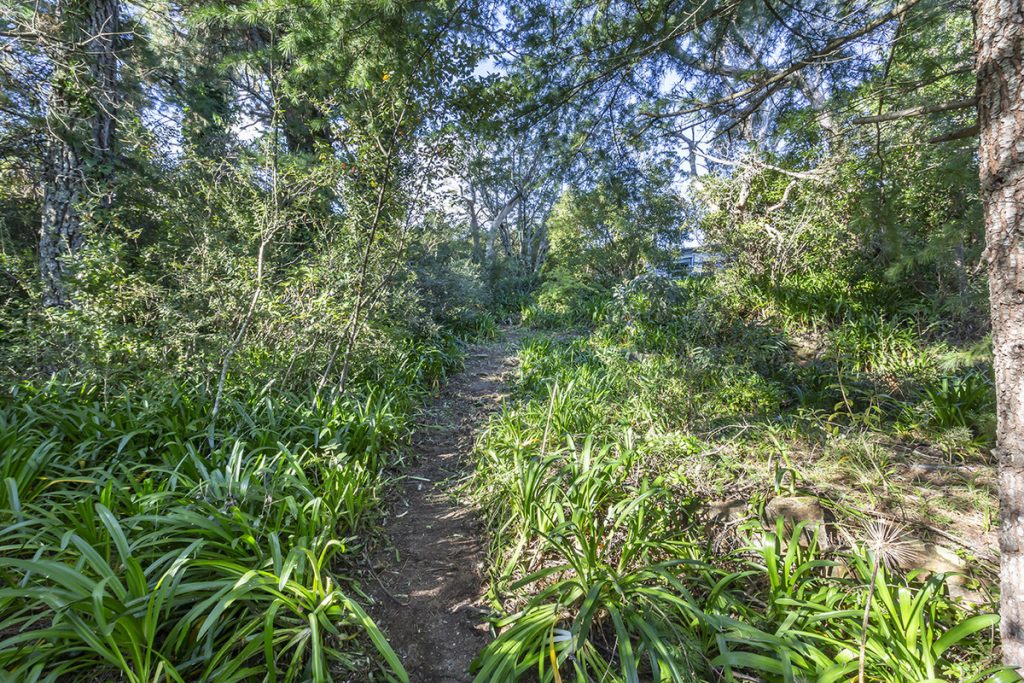 15 Buena Vista Avenue, Wentworth Falls NSW 2782 — photo 5