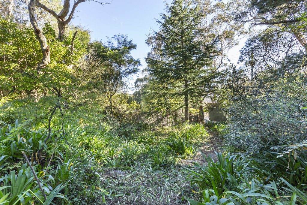 15 Buena Vista Avenue, Wentworth Falls NSW 2782 — photo 6