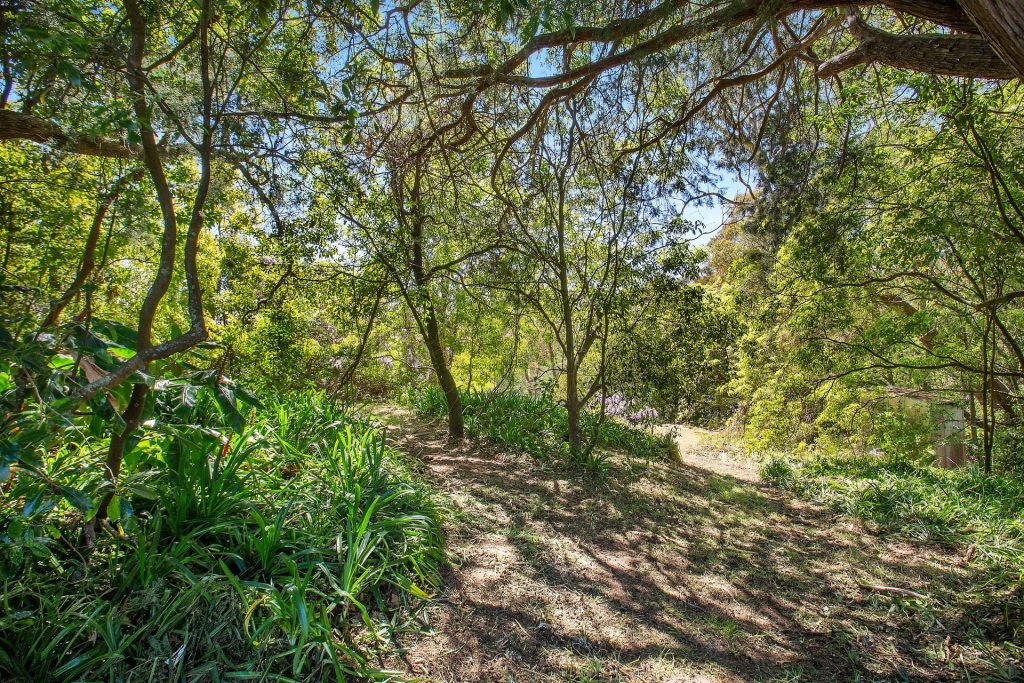 3 Glen Street, Woodford NSW 2778 — photo 3