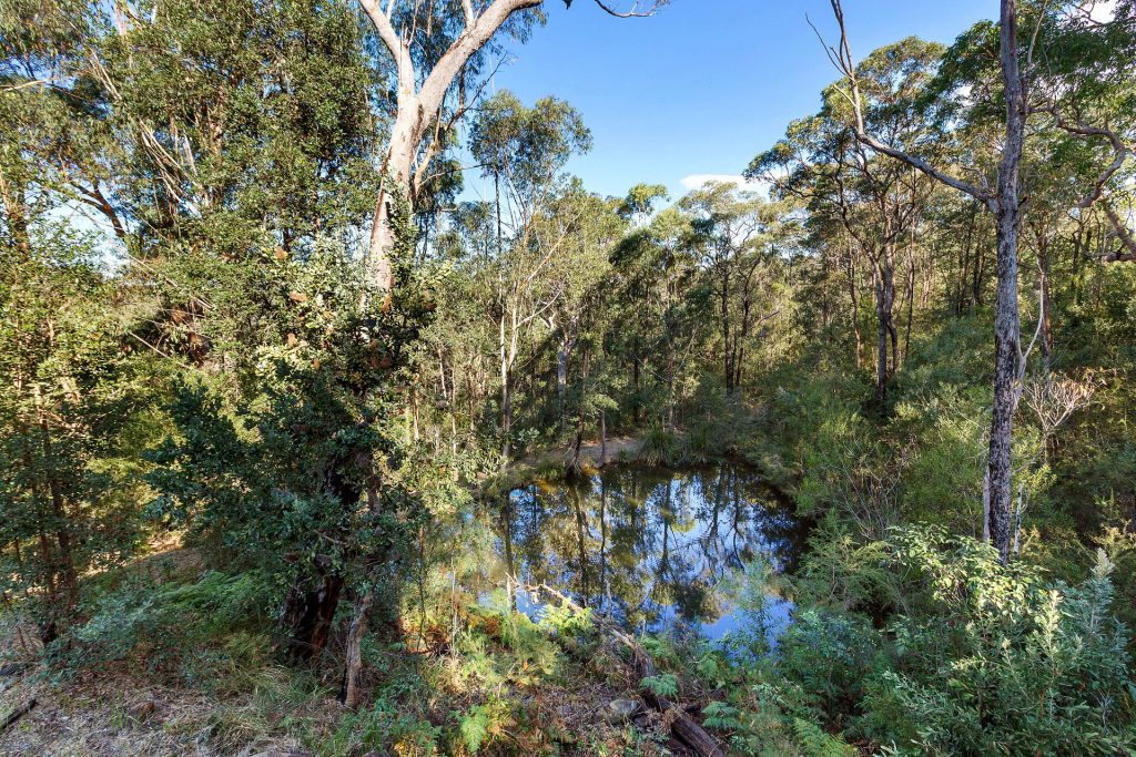 277 Singles Ridge Road, Yellow Rock NSW 2777 — photo 17