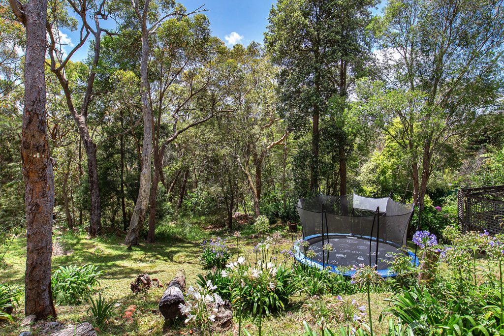 81 St Georges Crescent, Faulconbridge NSW 2776 — photo 9