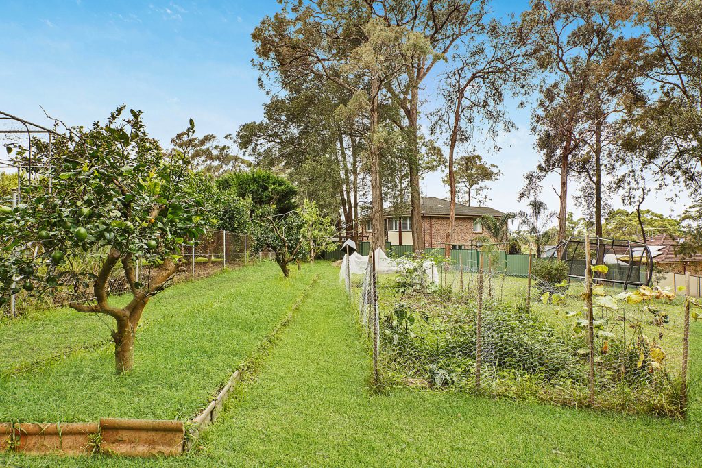 395 Hawkesbury Road, Winmalee NSW 2777 — photo 2