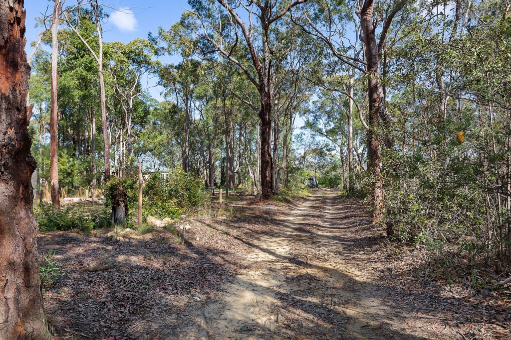 117 Farm Road, Springwood NSW 2777 — photo 12