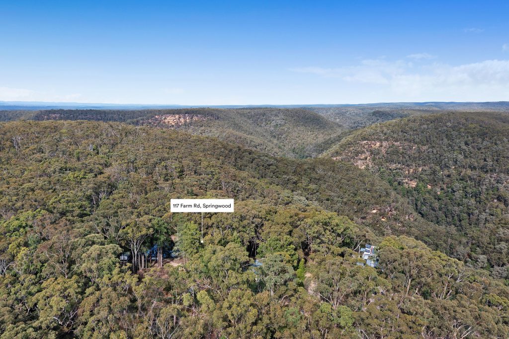 117 Farm Road, Springwood NSW 2777 — photo 20