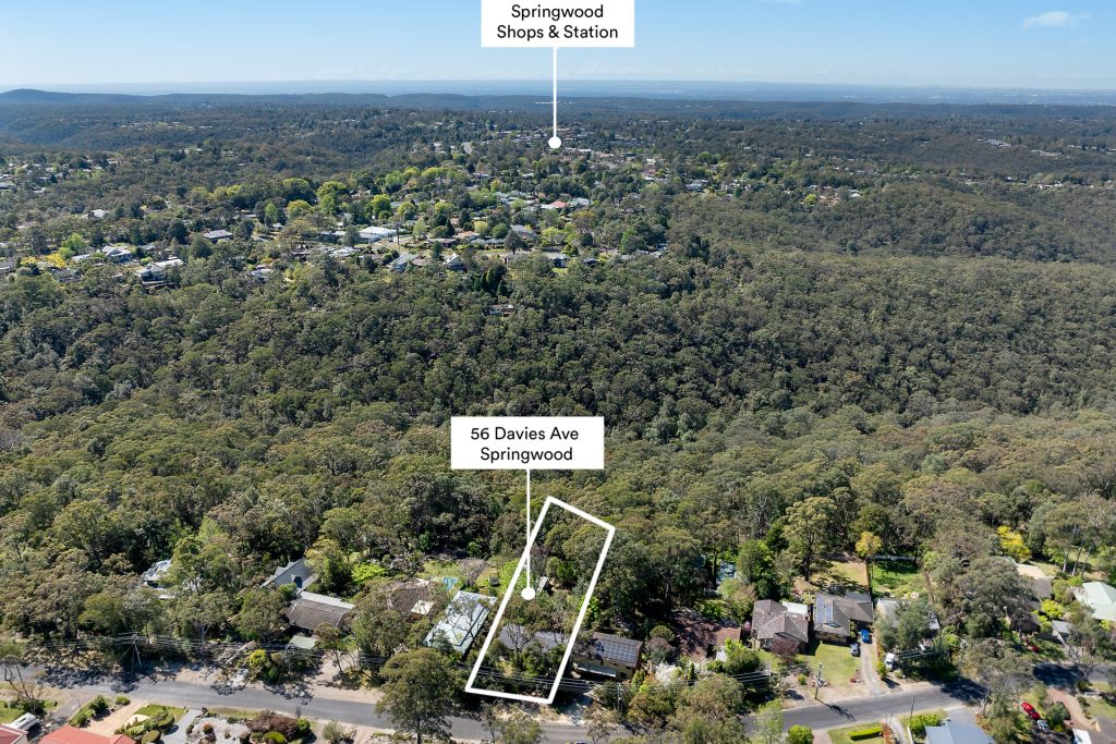 56 Davies Avenue, Springwood NSW 2777 — photo 10