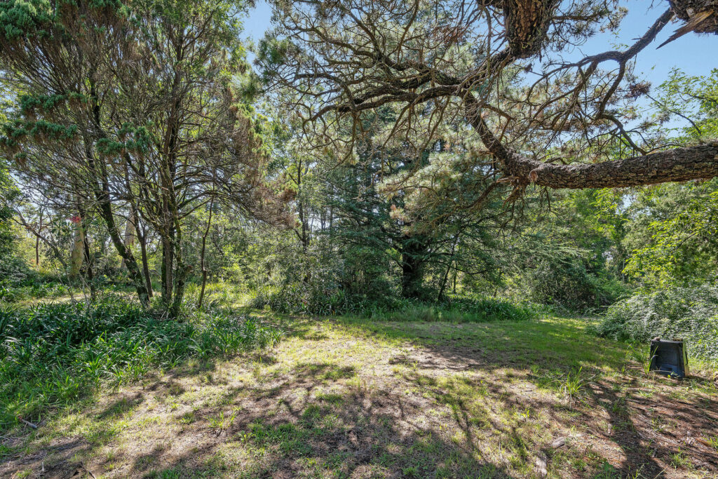 Sold - 107 Clear View Parade - New Property in Hazelbrook - Real Estate by Stewart Lamont