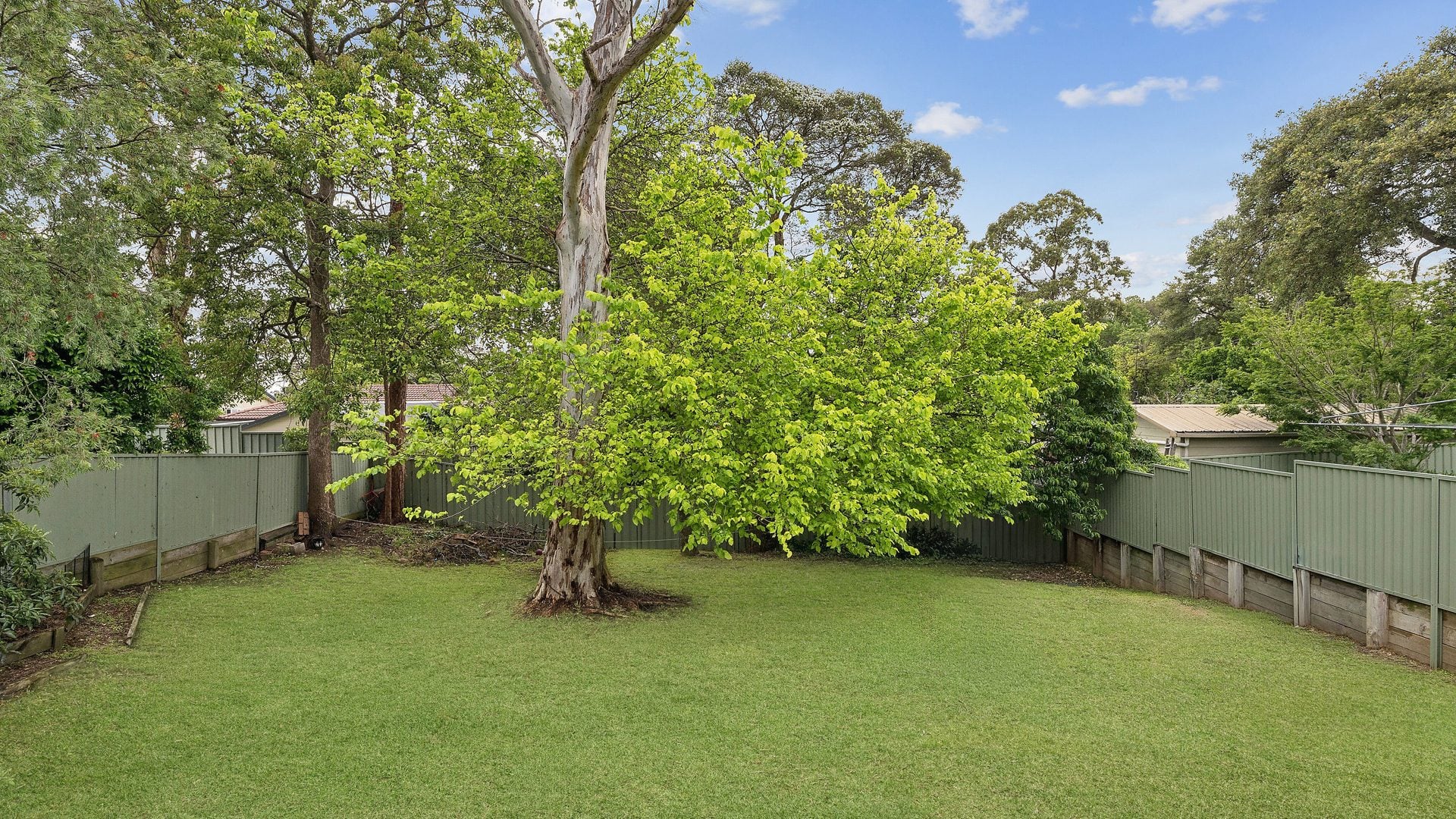 For Rent - 3 Wahroonga Road - New Property in Winmalee - Real Estate by Kristy Leverton