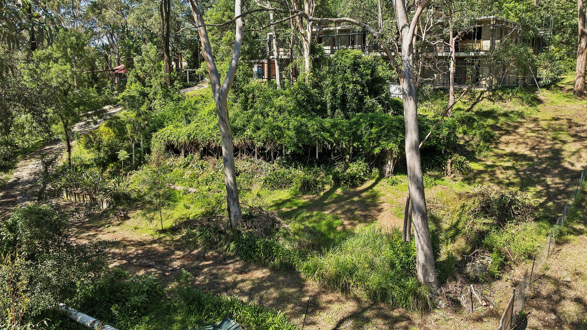 For Sale - 16 Ellison Road - New Property in Springwood - Real Estate by Stewart Lamont