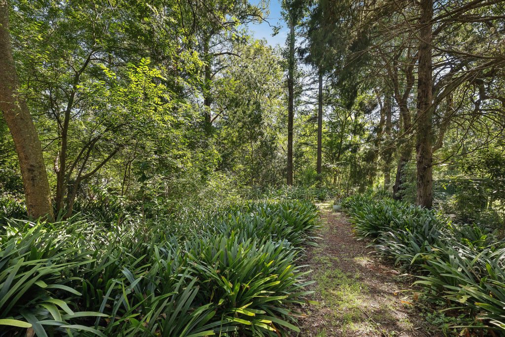 For Sale - 16 Ellison Road - New Property in Springwood - Real Estate by Stewart Lamont