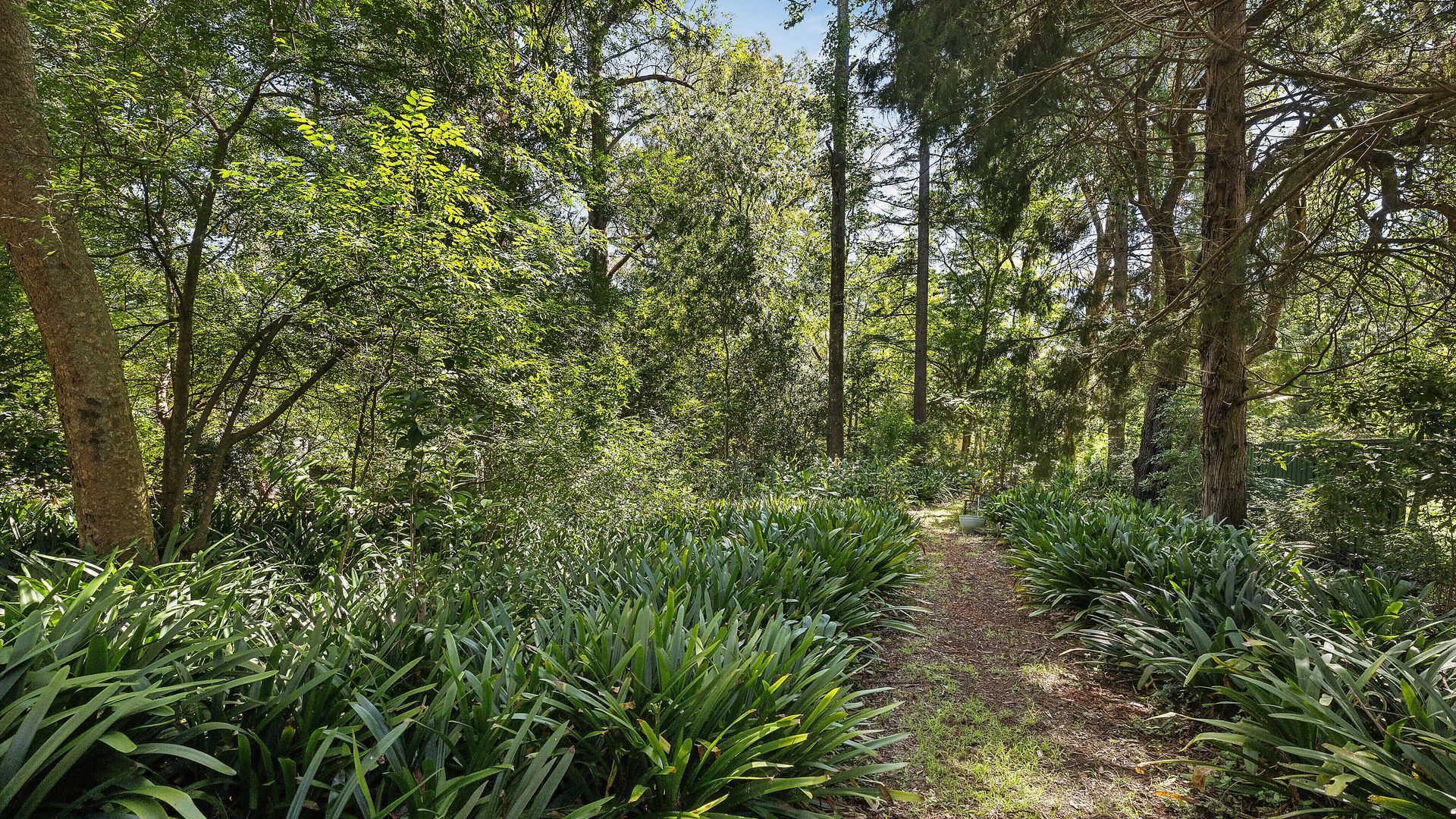 For Sale - 16 Ellison Road - New Property in Springwood - Real Estate by Stewart Lamont