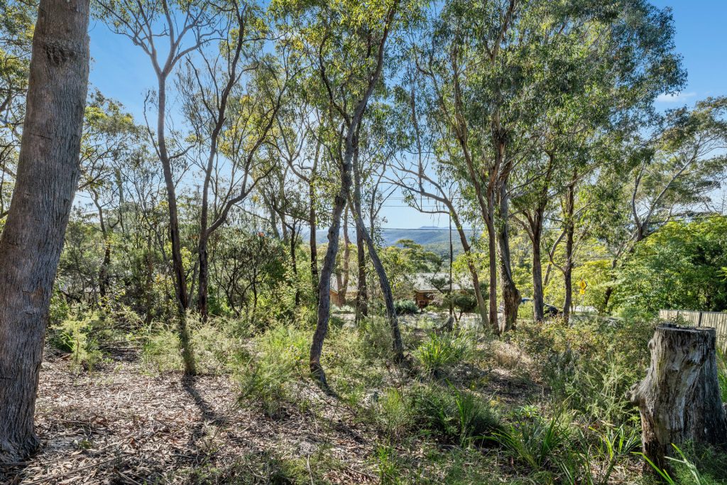 For Sale - 58 Glossop Road - New Property in Linden - Real Estate by Stewart Lamont
