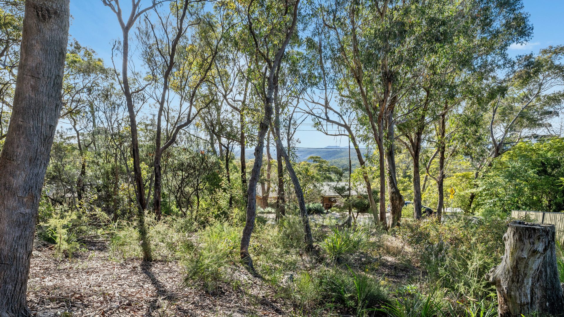 For Sale - 58 Glossop Road - New Property in Linden - Real Estate by Stewart Lamont