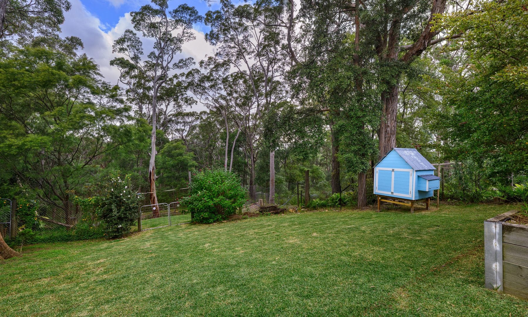 For Rent - 44 Coolabah Road - New Property in Valley Heights - Real Estate by Kristy Leverton