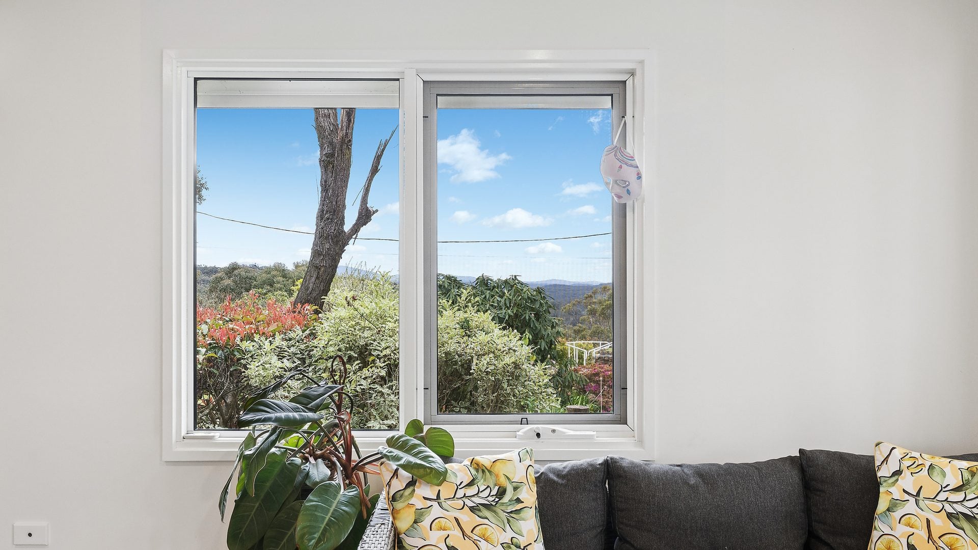 For Sale - 51 Stephen Street - New Property in Lawson - Real Estate by Isla Czarnota
