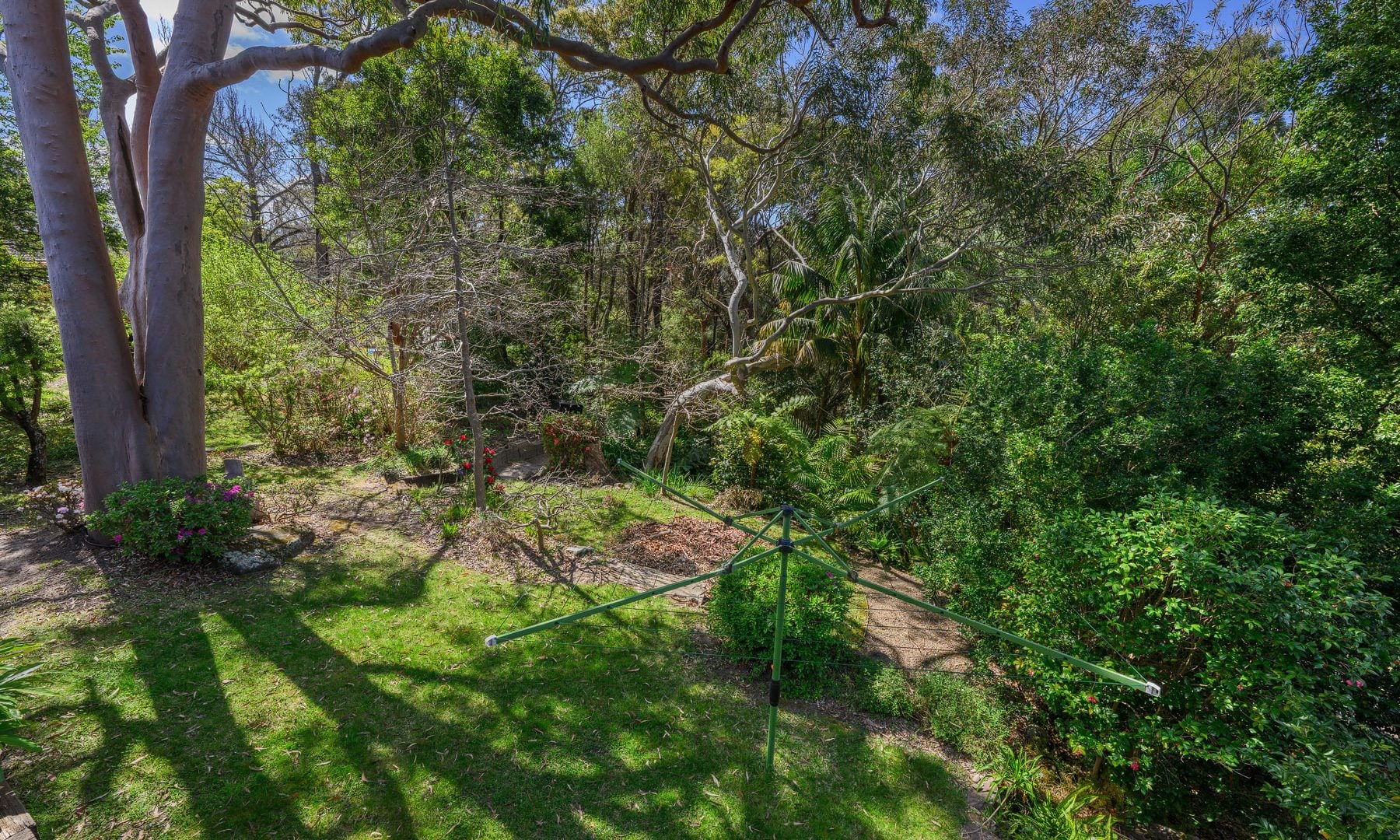 For Rent - 45 Shirlow Avenue - New Property in Faulconbridge - Real Estate by Kristy Leverton