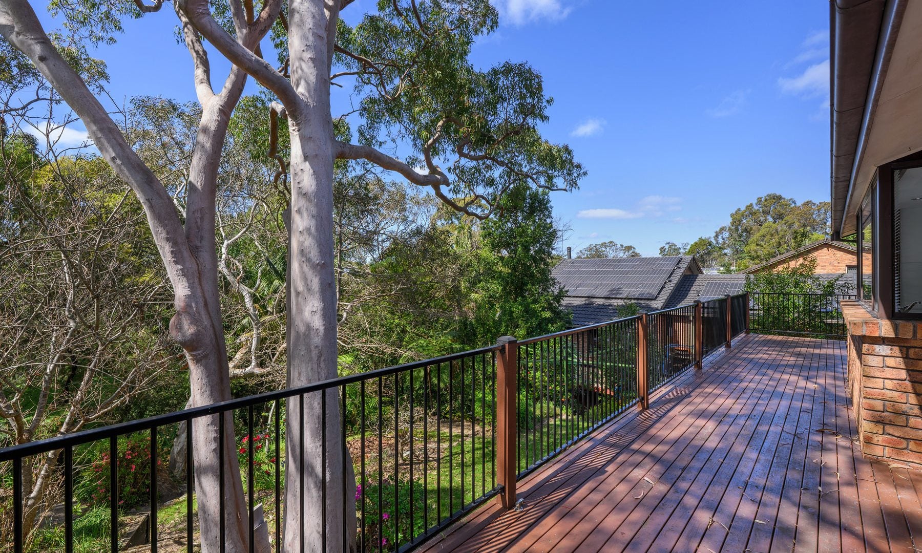 For Rent - 45 Shirlow Avenue - New Property in Faulconbridge - Real Estate by Kristy Leverton